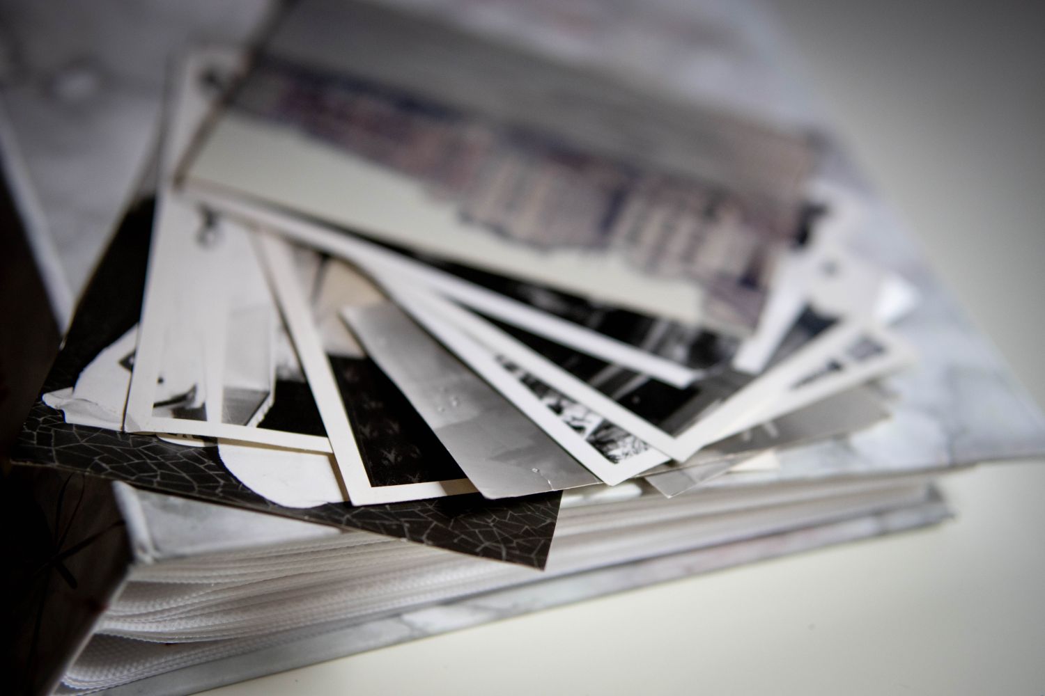 Comment numériser des photos : convertir des tirages avec un scanner à plat