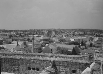 Original photo before colorization, example 3