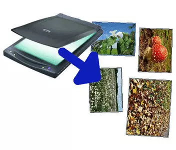 Short animation showing how this photo scanning software works